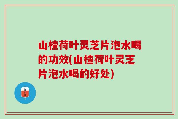 山楂荷葉靈芝片泡水喝的功效(山楂荷葉靈芝片泡水喝的好處)