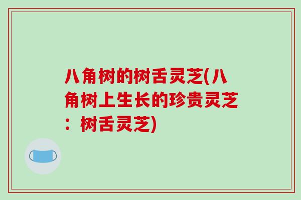 八角樹的樹舌靈芝(八角樹上生長的珍貴靈芝：樹舌靈芝)