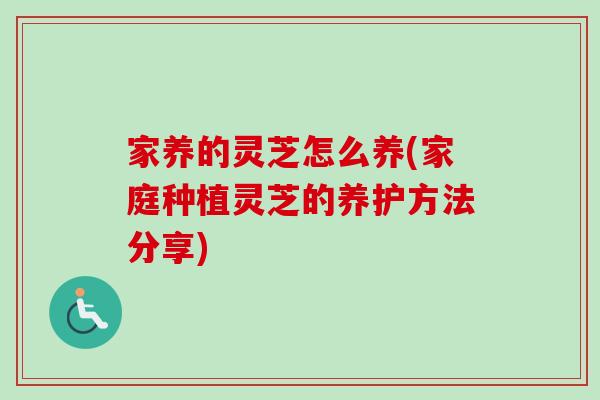 家養的靈芝怎么養(家庭種植靈芝的養護方法分享)