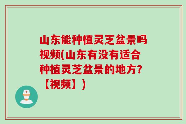 山東能種植靈芝盆景嗎視頻(山東有沒有適合種植靈芝盆景的地方？【視頻】)