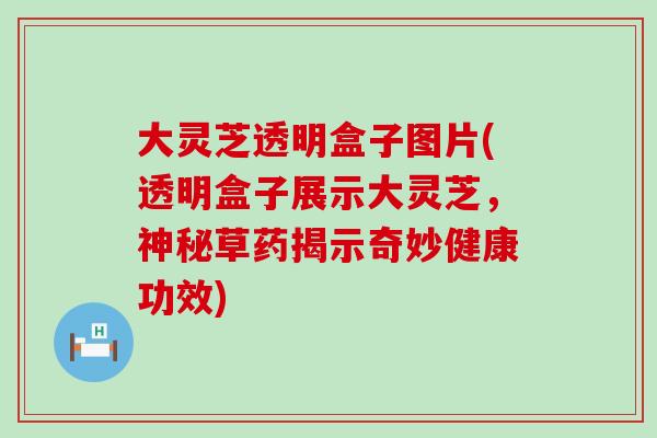 大靈芝透明盒子圖片(透明盒子展示大靈芝，神秘草藥揭示奇妙健康功效)