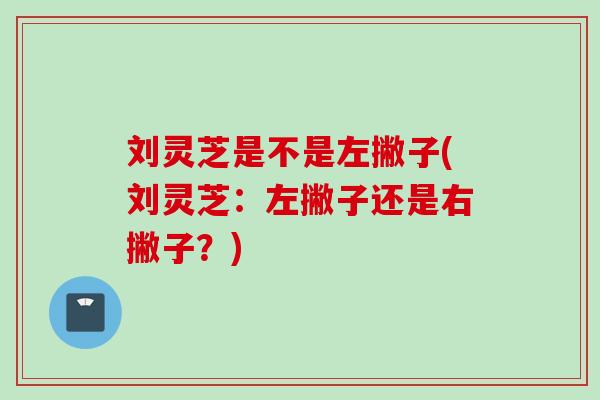 劉靈芝是不是左撇子(劉靈芝：左撇子還是右撇子？)