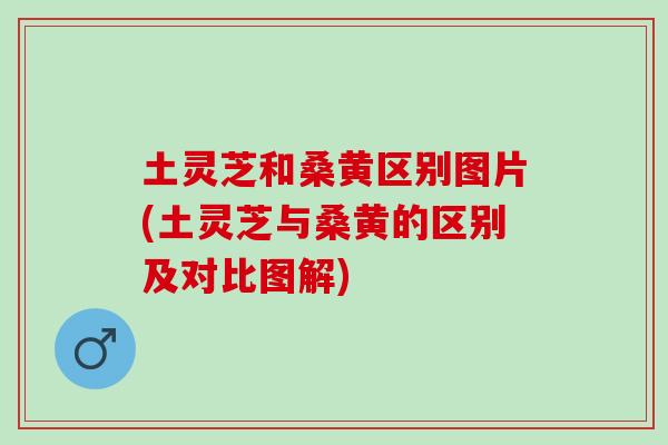 土靈芝和桑黃區別圖片(土靈芝與桑黃的區別及對比圖解)