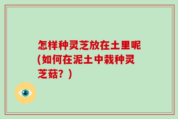 怎樣種靈芝放在土里呢(如何在泥土中栽種靈芝菇？)