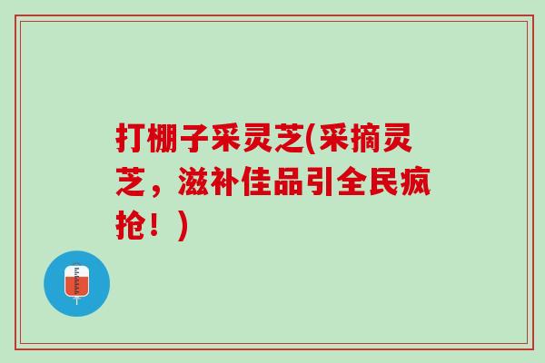 打棚子采靈芝(采摘靈芝，滋補佳品引全民瘋搶！)