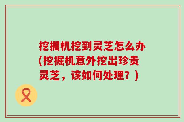 挖掘機挖到靈芝怎么辦(挖掘機意外挖出珍貴靈芝，該如何處理？)