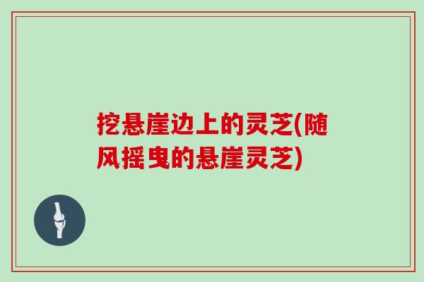 挖懸崖邊上的靈芝(隨風搖曳的懸崖靈芝)