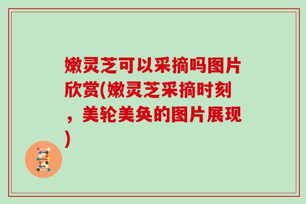 嫩靈芝可以采摘嗎圖片欣賞(嫩靈芝采摘時刻，美輪美奐的圖片展現)