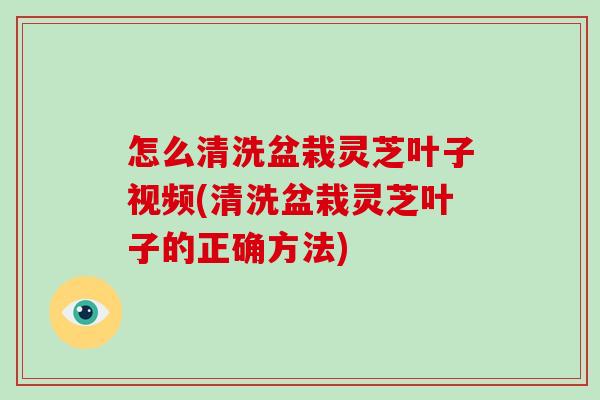 怎么清洗盆栽靈芝葉子視頻(清洗盆栽靈芝葉子的正確方法)