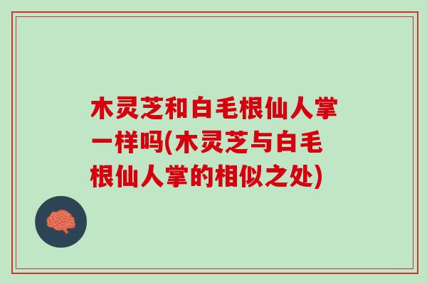 木靈芝和白毛根仙人掌一樣嗎(木靈芝與白毛根仙人掌的相似之處)