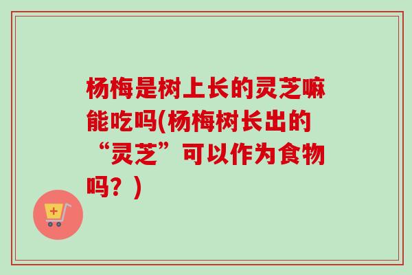 楊梅是樹上長的靈芝嘛能吃嗎(楊梅樹長出的“靈芝”可以作為食物嗎？)