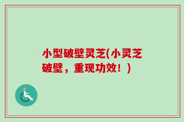 小型破壁靈芝(小靈芝破壁，重現功效！)