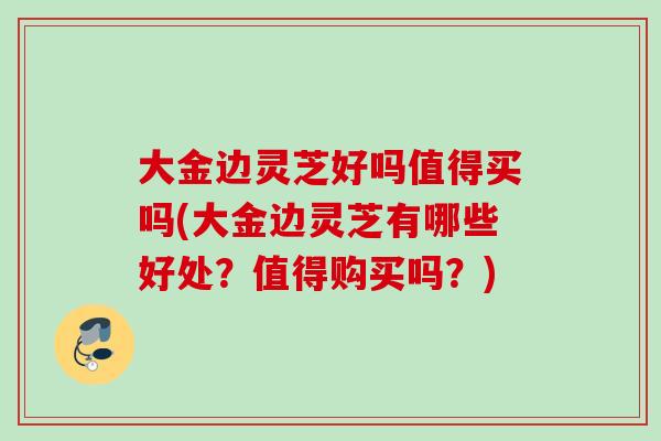 大金邊靈芝好嗎值得買嗎(大金邊靈芝有哪些好處？值得購買嗎？)