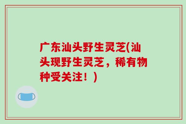 廣東汕頭野生靈芝(汕頭現野生靈芝，稀有物種受關注！)