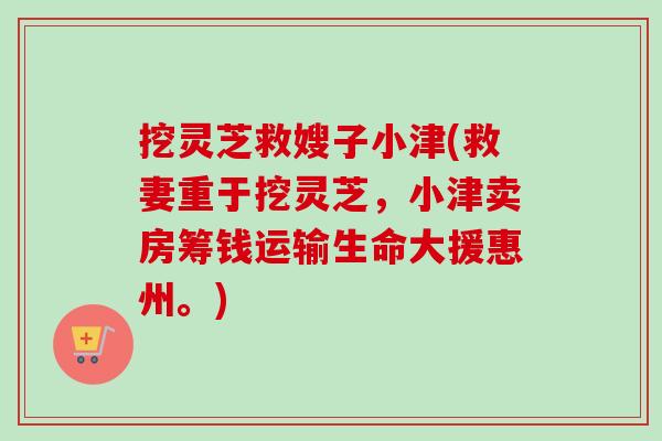 挖靈芝救嫂子小津(救妻重于挖靈芝，小津賣房籌錢運輸生命大援惠州。)