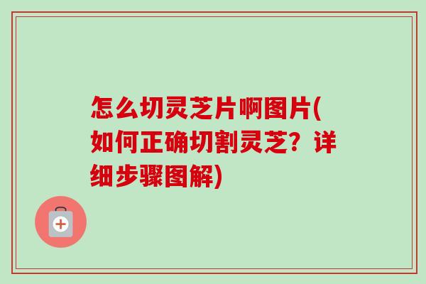 怎么切靈芝片啊圖片(如何正確切割靈芝？詳細步驟圖解)