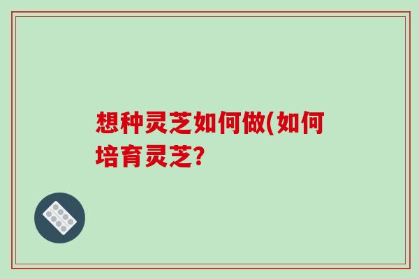 想種靈芝如何做(如何培育靈芝？