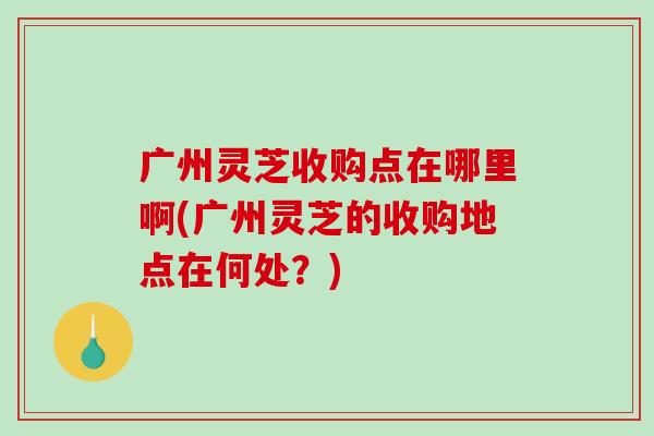 廣州靈芝收購點在哪里啊(廣州靈芝的收購地點在何處？)