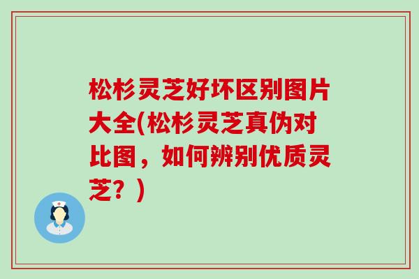 松杉靈芝好壞區別圖片大全(松杉靈芝真偽對比圖，如何辨別優質靈芝？)