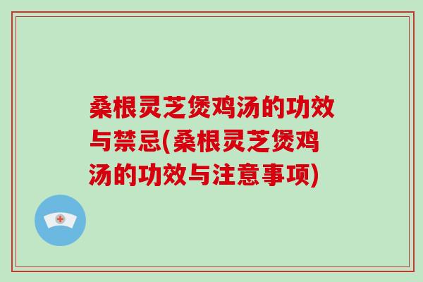 桑根靈芝煲雞湯的功效與禁忌(桑根靈芝煲雞湯的功效與注意事項)