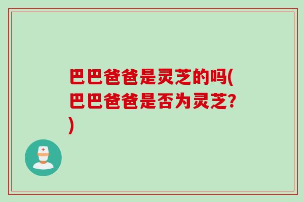 巴巴爸爸是靈芝的嗎(巴巴爸爸是否為靈芝？)