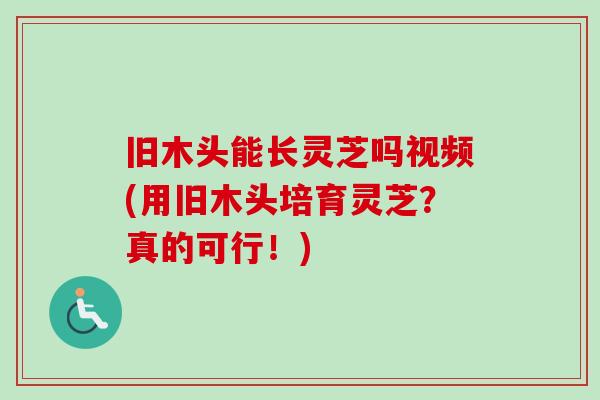 舊木頭能長靈芝嗎視頻(用舊木頭培育靈芝？真的可行！)