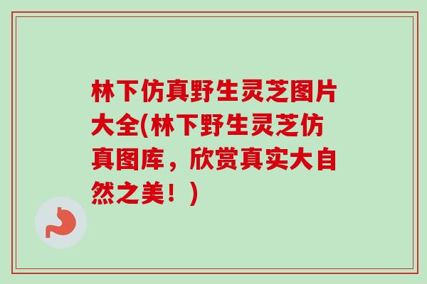 林下仿真野生靈芝圖片大全(林下野生靈芝仿真圖庫，欣賞真實大自然之美！)