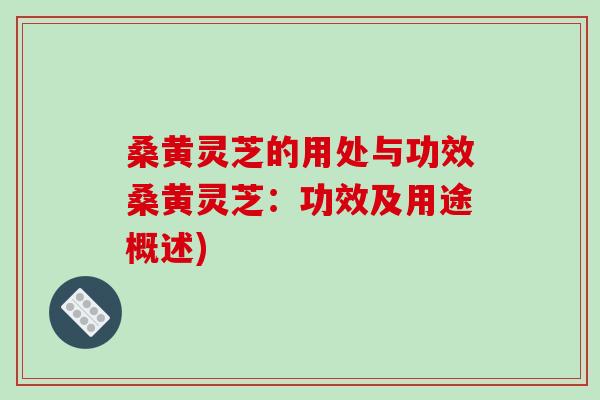 桑黃靈芝的用處與功效桑黃靈芝：功效及用途概述)