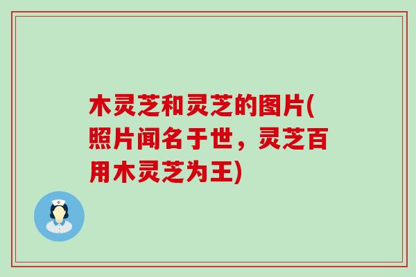 木靈芝和靈芝的圖片(照片聞名于世，靈芝百用木靈芝為王)