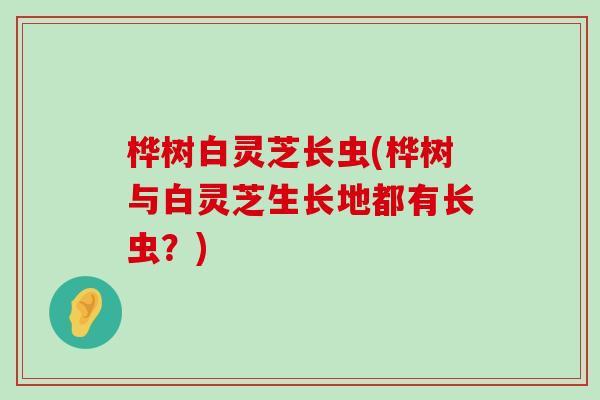 樺樹白靈芝長蟲(樺樹與白靈芝生長地都有長蟲？)