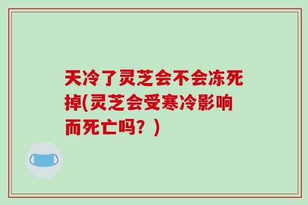 天冷了靈芝會不會凍死掉(靈芝會受寒冷影響而死亡嗎？)