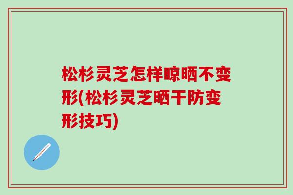 松杉靈芝怎樣晾曬不變形(松杉靈芝曬干防變形技巧)