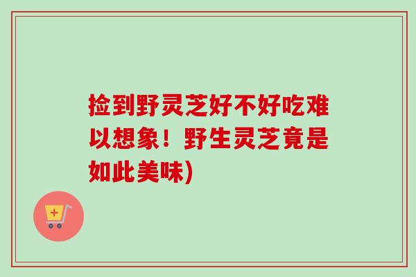 撿到野靈芝好不好吃難以想象！野生靈芝竟是如此美味)