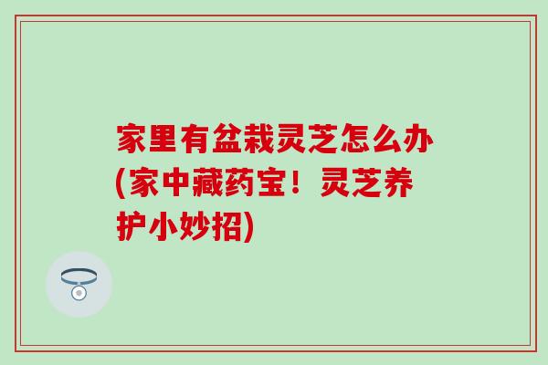 家里有盆栽靈芝怎么辦(家中藏藥寶！靈芝養護小妙招)