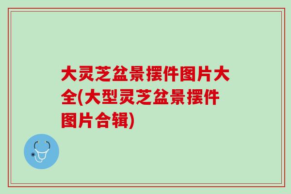 大靈芝盆景擺件圖片大全(大型靈芝盆景擺件圖片合輯)