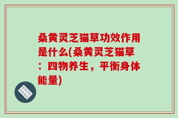 桑黃靈芝貓草功效作用是什么(桑黃靈芝貓草：四物養生，平衡身體能量)