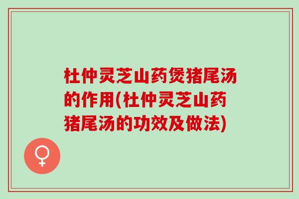 杜仲靈芝山藥煲豬尾湯的作用(杜仲靈芝山藥豬尾湯的功效及做法)