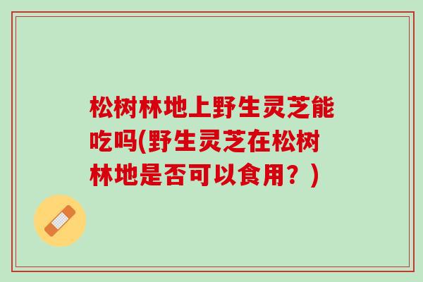 松樹林地上野生靈芝能吃嗎(野生靈芝在松樹林地是否可以食用？)