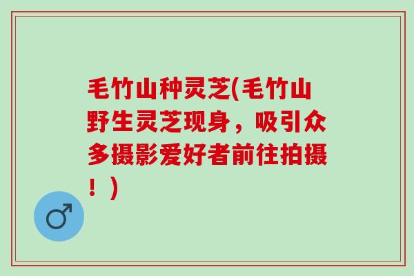 毛竹山種靈芝(毛竹山野生靈芝現身，吸引眾多攝影愛好者前往拍攝！)