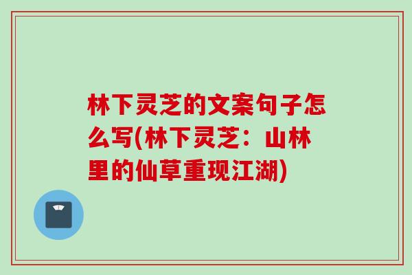 林下靈芝的文案句子怎么寫(林下靈芝：山林里的仙草重現江湖)