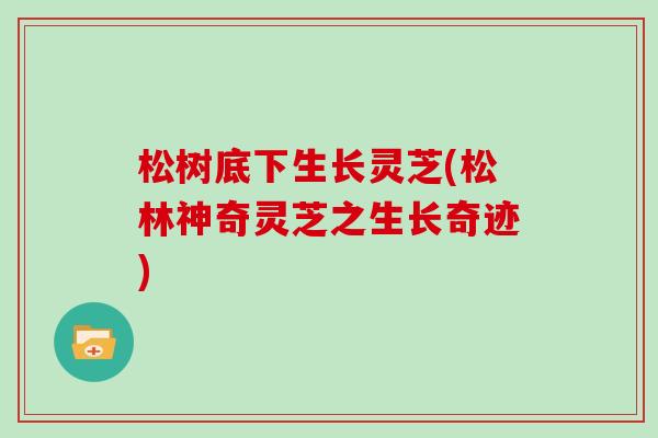 松樹底下生長靈芝(松林神奇靈芝之生長奇跡)