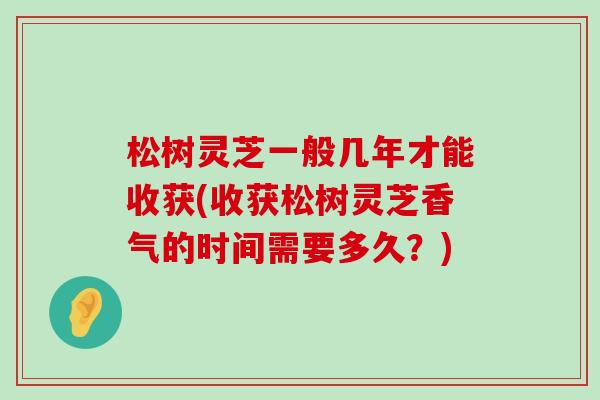 松樹靈芝一般幾年才能收獲(收獲松樹靈芝香氣的時間需要多久？)