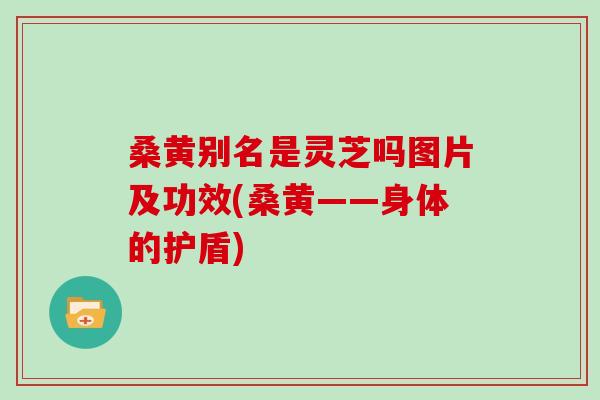 桑黃別名是靈芝嗎圖片及功效(桑黃——身體的護盾)