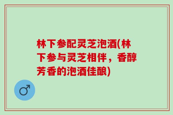 林下參配靈芝泡酒(林下參與靈芝相伴，香醇芳香的泡酒佳釀)