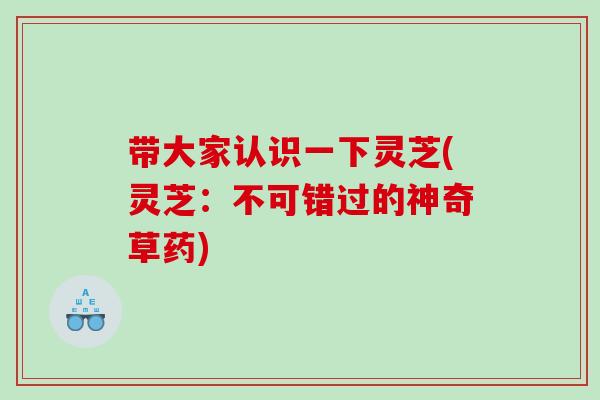 帶大家認識一下靈芝(靈芝：不可錯過的神奇草藥)