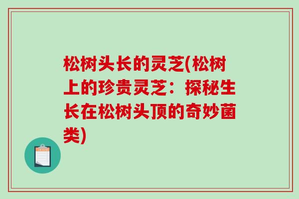 松樹頭長的靈芝(松樹上的珍貴靈芝：探秘生長在松樹頭頂的奇妙菌類)